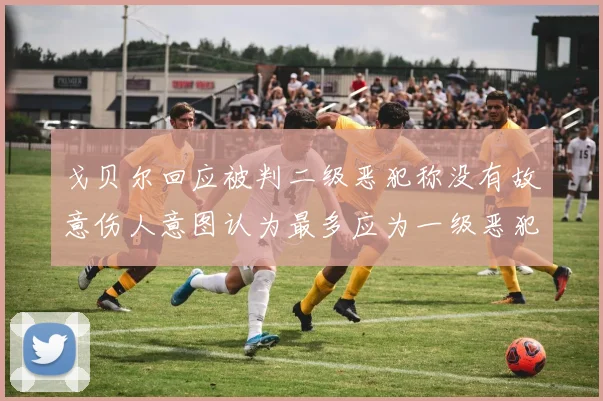 戈贝尔回应被判二级恶犯称没有故意伤人意图认为最多应为一级恶犯