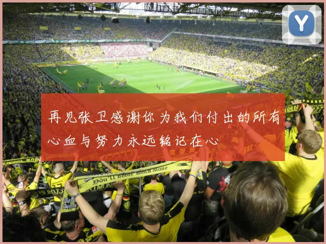 再见张卫感谢你为我们付出的所有心血与努力永远铭记在心