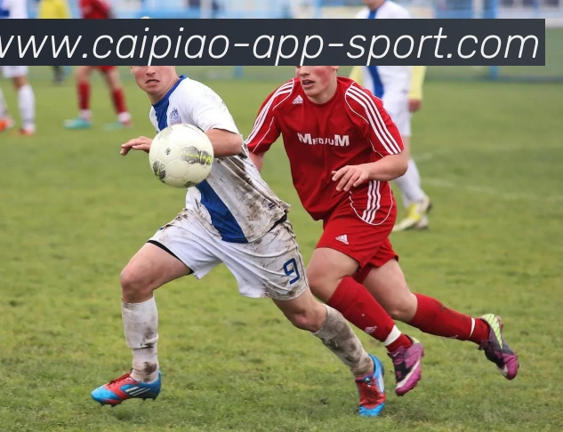 大发彩票APP 体育赛事宣传图